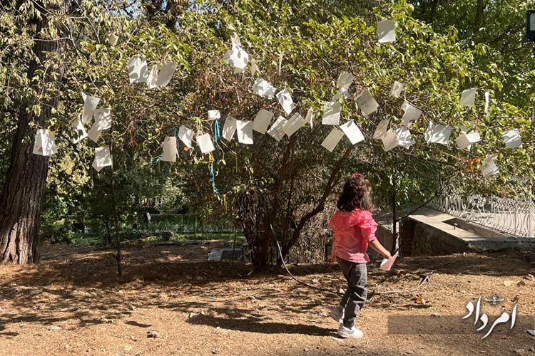 d9b17d0e 5bfa 423e abb0 28845b572cd3