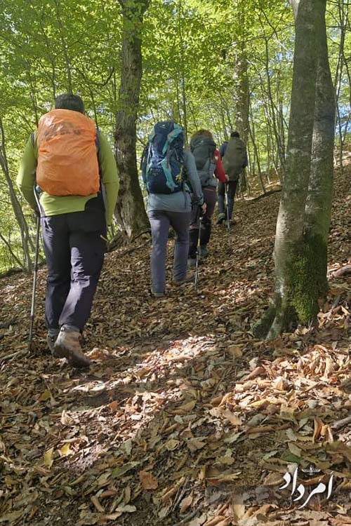 15ca3e58 d75e 4564 b031 5cbcbf350b85