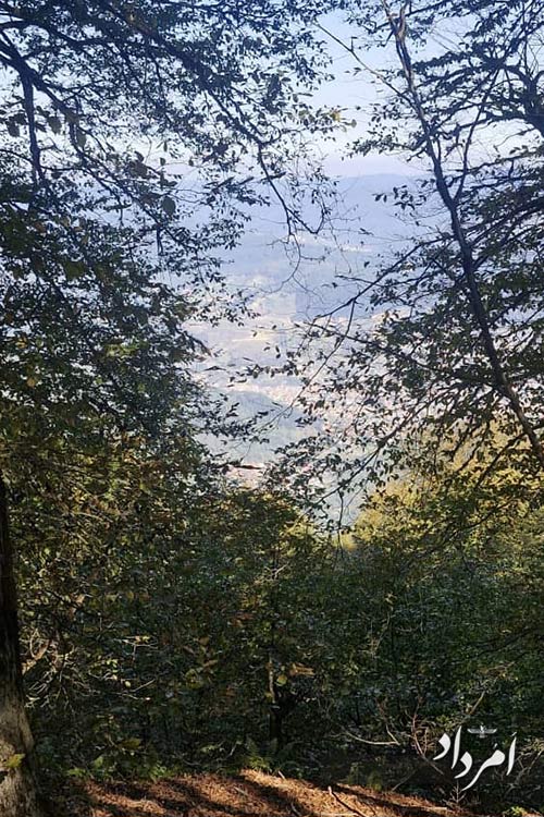 2df412c4 1cc1 4c0a 9d85 34d544be59b0