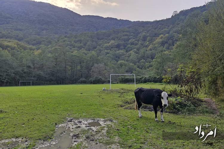 667d7da1 8485 4f58 8b22 9cc75b06679d