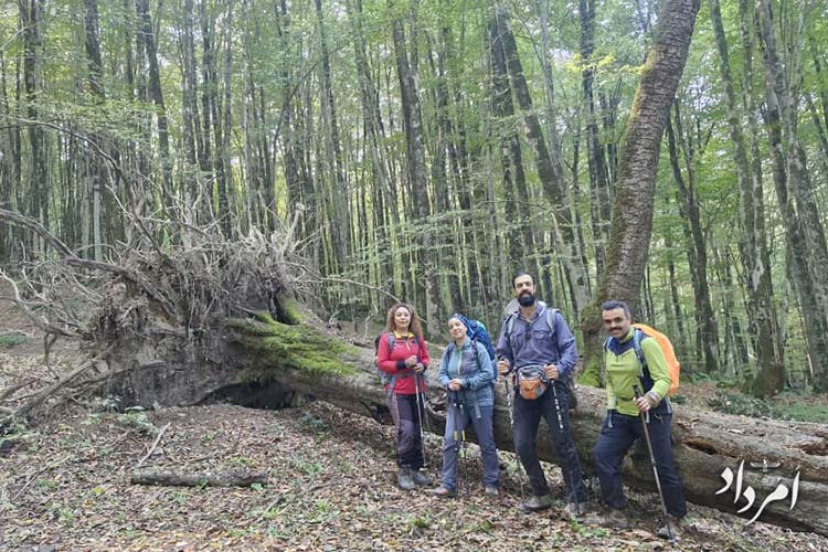 6e4741a5 44dd 4bc8 9886 43e8a30d4200