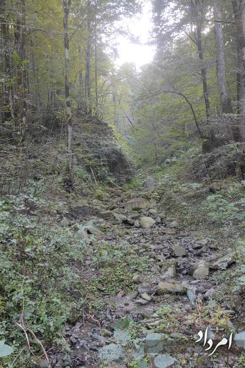 9cc36d92 faf3 4d1d 9e71 bfd35f910719