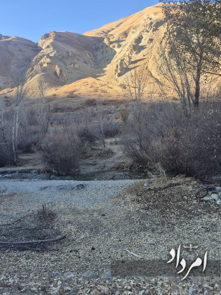 WhatsApp Image 2025 11 25 at 00.03.49 1