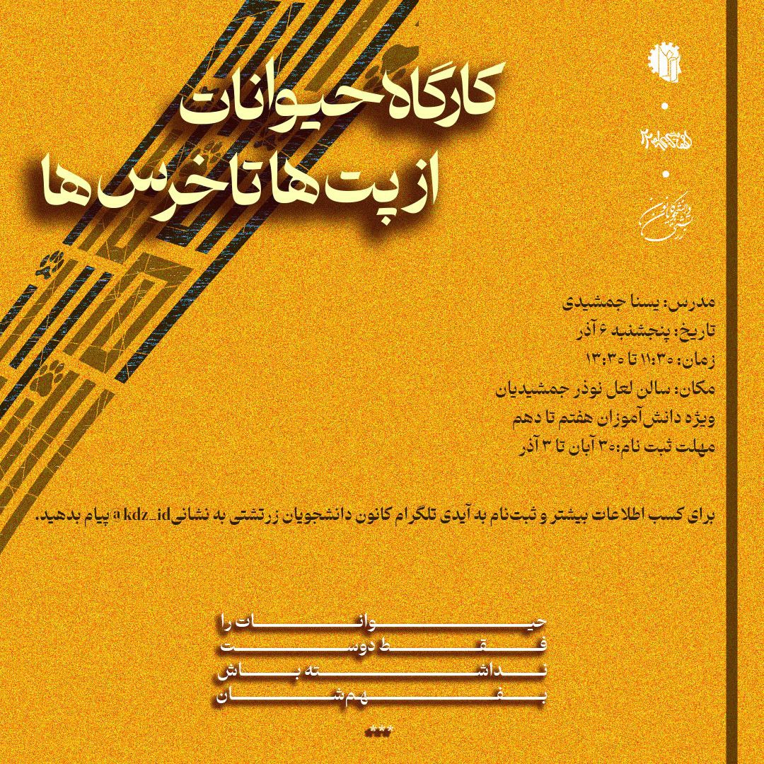 photo 2025 11 21 21 24 06