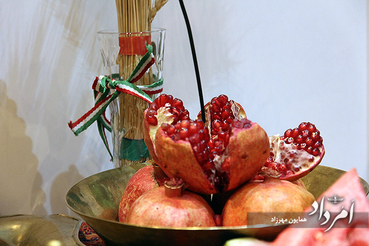 هماندیشان ایران فرهنگی به پیشواز شب چله رفت 14 13 25