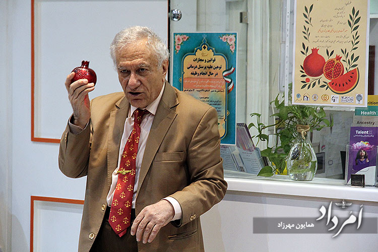 هماندیشان ایران فرهنگی به پیشواز شب چله رفت 29 34 8