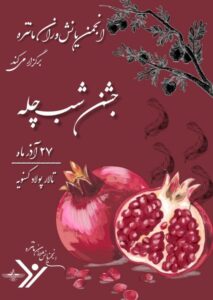 IMG 20251202 180906 415 510x720 1