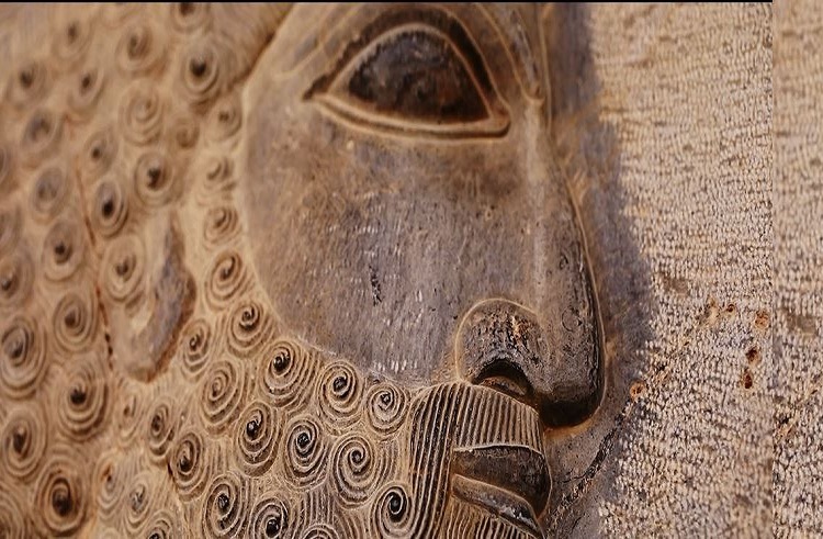 IMG 20251213 120303 914