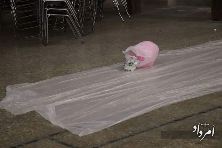 photo 5897966451308563600 y 1024x682 1