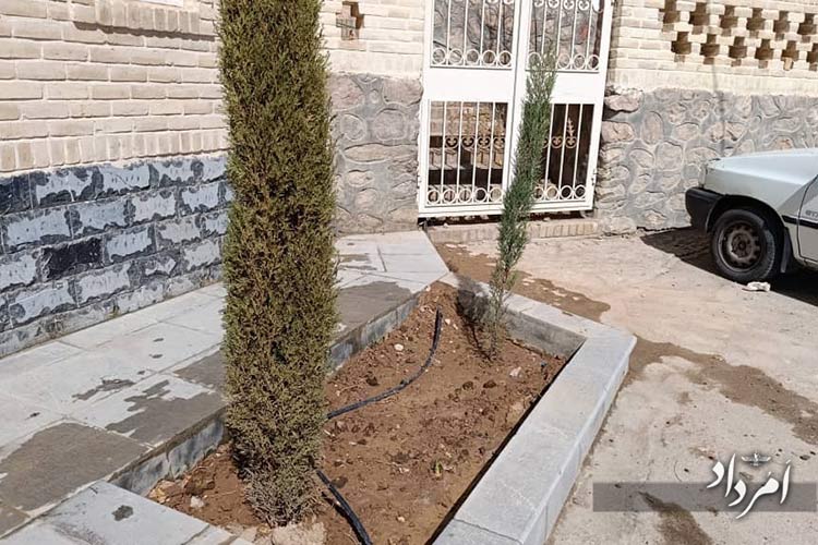 3e1dd08e 5015 4c40 9e86 57a3006c0fd5