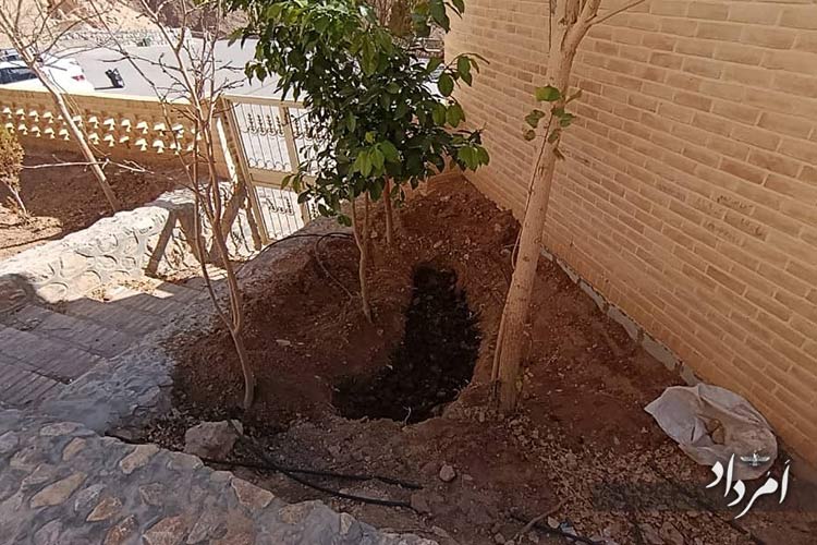 64d98aa0 f55a 417e b29e 106574b8cd90