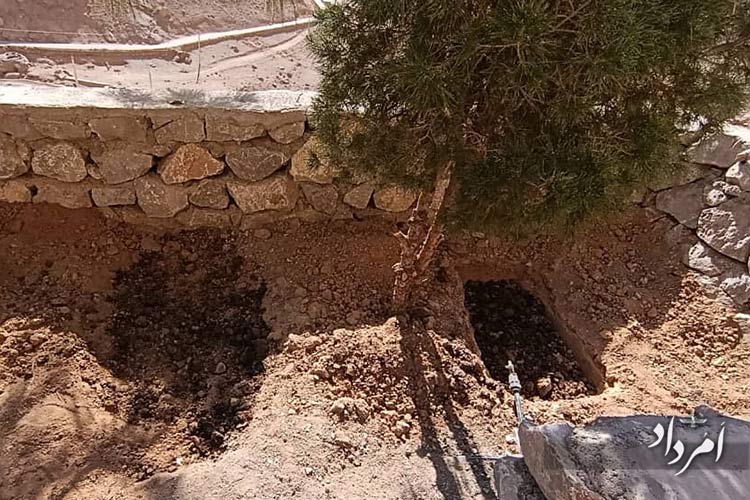 849683c8 3509 40a5 b9df fe9721232cf1