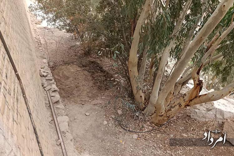 9e2f3a99 5f5f 488b 8e4e 5cd4a79bb6f4