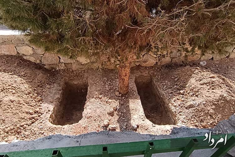 a8108bde d83e 462e 875f 7450353fa83e