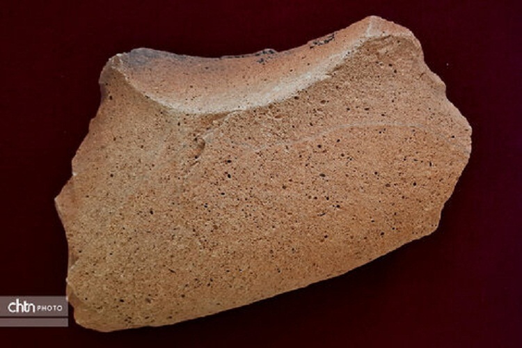 904519