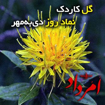 در به مهر گل کاردک