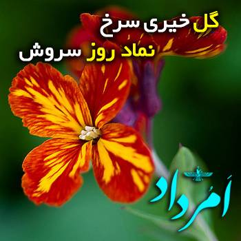 سروش خیری سرخ