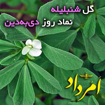 شنبلیله دی بدین