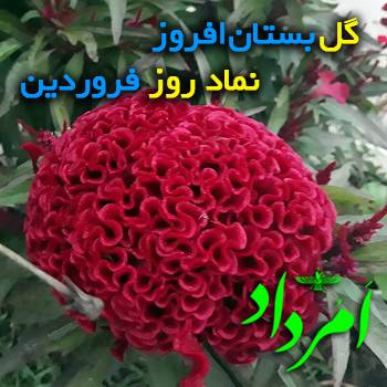 فروردین بستان افروز
