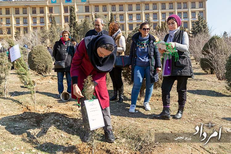 09_derakhtkari-amordad_park-zeytoon_14011201_112_Zarir Najmi