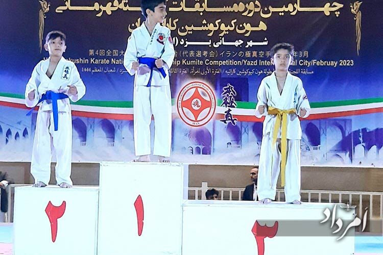 درخشش ساشا سلطانی‌پور