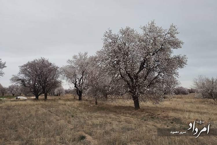 1025e1d8-7847-426c-b975-df0be4ee1eef