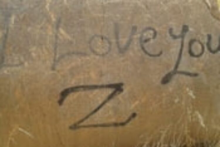 146881115720120531_173456