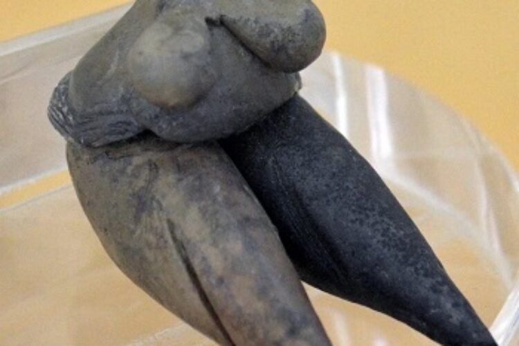 1470558259venus_sarab