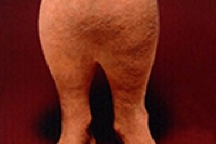 1473146226mcclungmuse_exh_vessel_feet