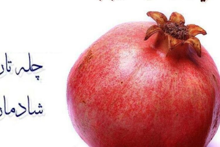 1481455514shabe_chele