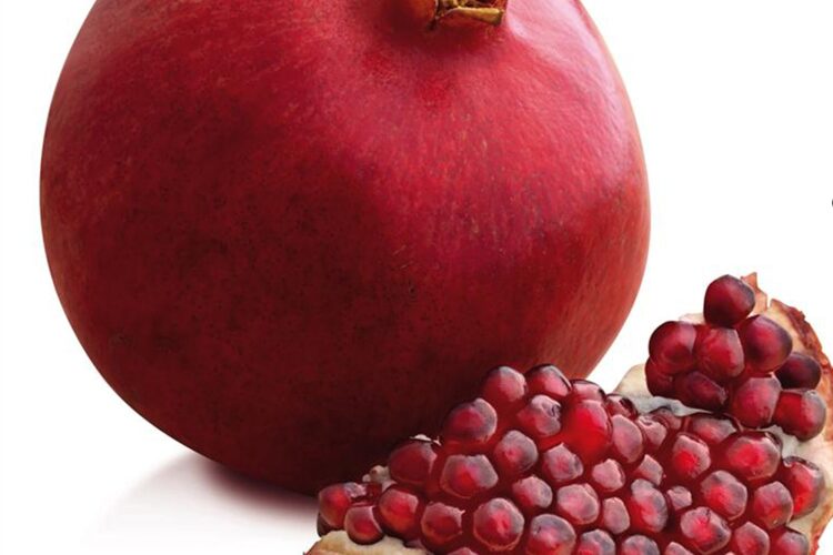 1482571754Untitled-1