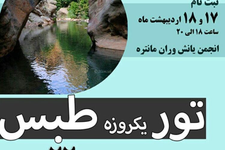 1493127069photo_2017-04-24_08-22-21