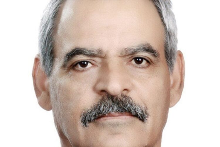 1496987043sirous_fravahari