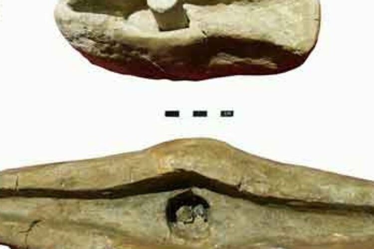 1497347495فلزگری