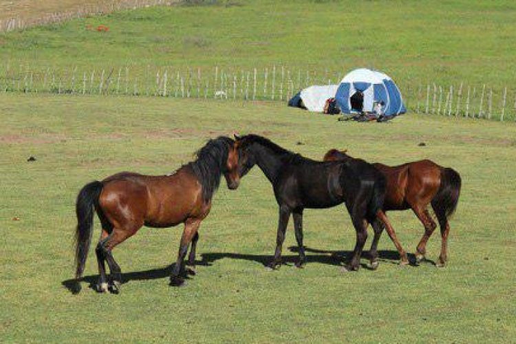 1499544590photo_2017-07-09_00-35-29