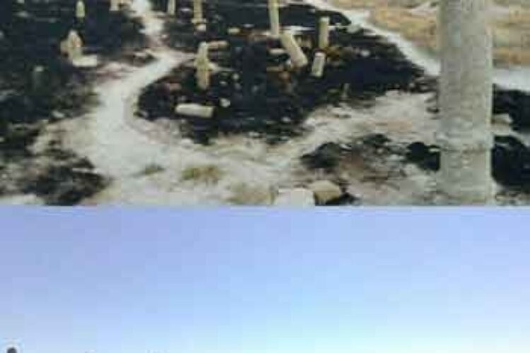 1505027538photo_۲۰۱۷-۰۹-۰۹_۰۰-۱۸-۵۴