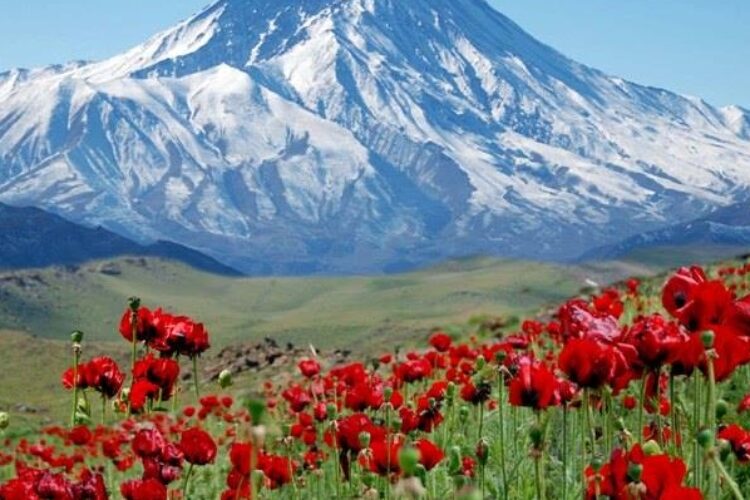 1517995684damavand-30