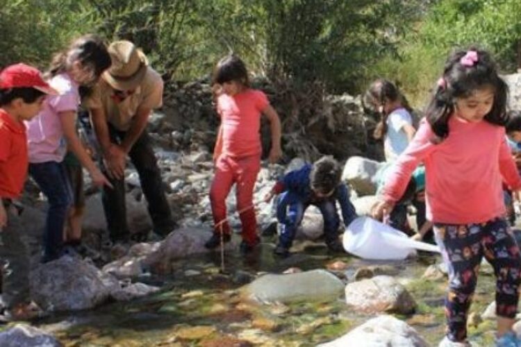 1519647057mohitezist