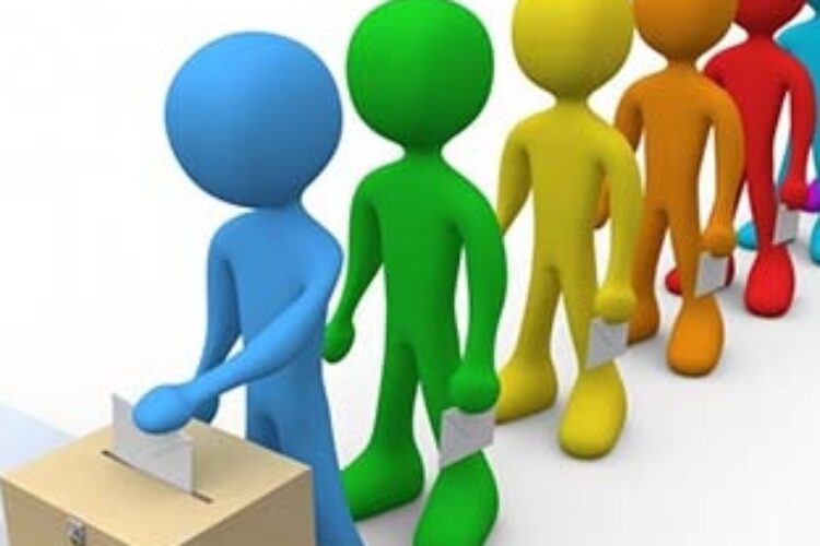 1524201758voting-democracy-party-election