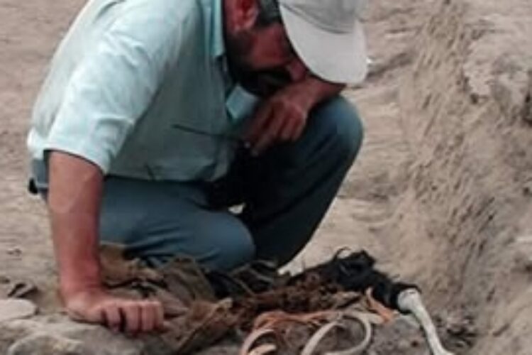 1525694053archaeologist1