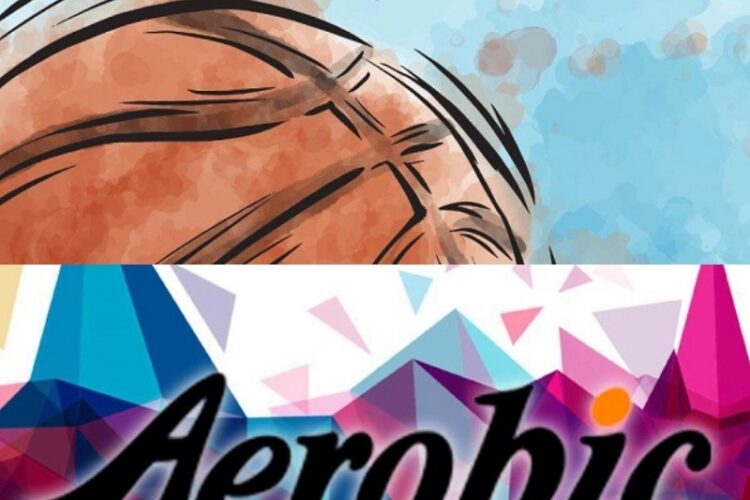 1546015071airobasket