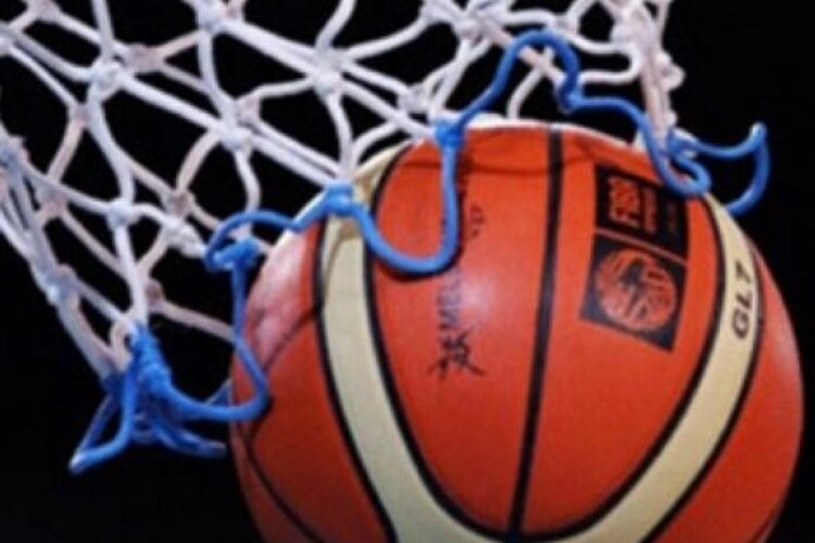 1549889320D1736601T14104877webb