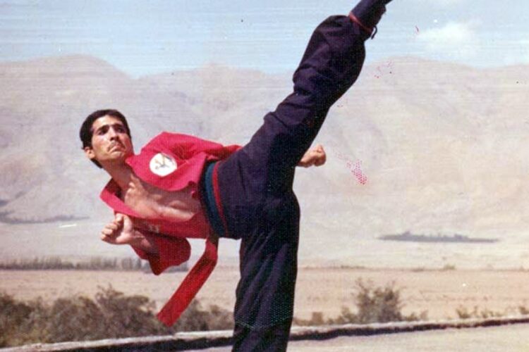 1558521426kungfu