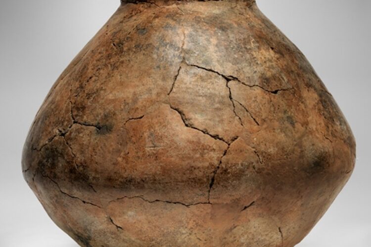 1567669128291102_800