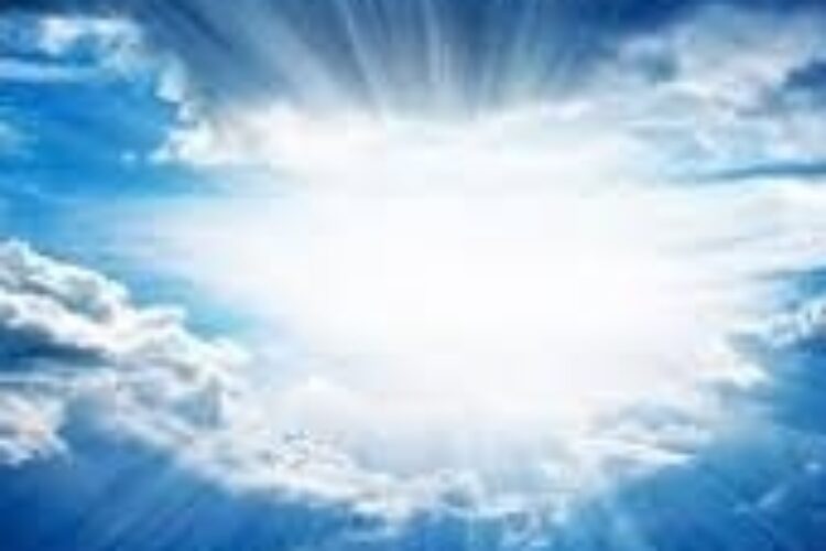 1569908569parvardgar