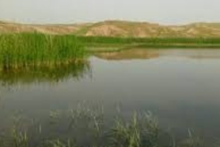 1576324724garibalmak