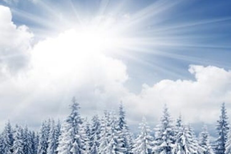 15770117602064293858-talab-ir