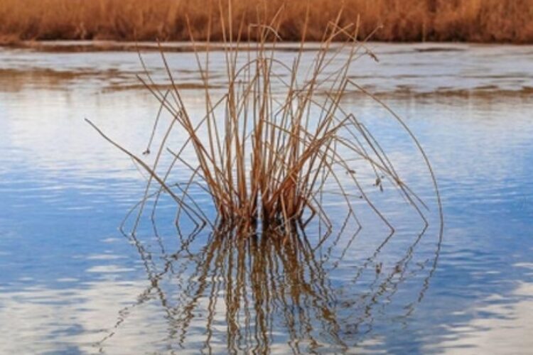 1578146173gharagheshlagh2