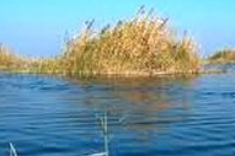 1578752564hooralazim