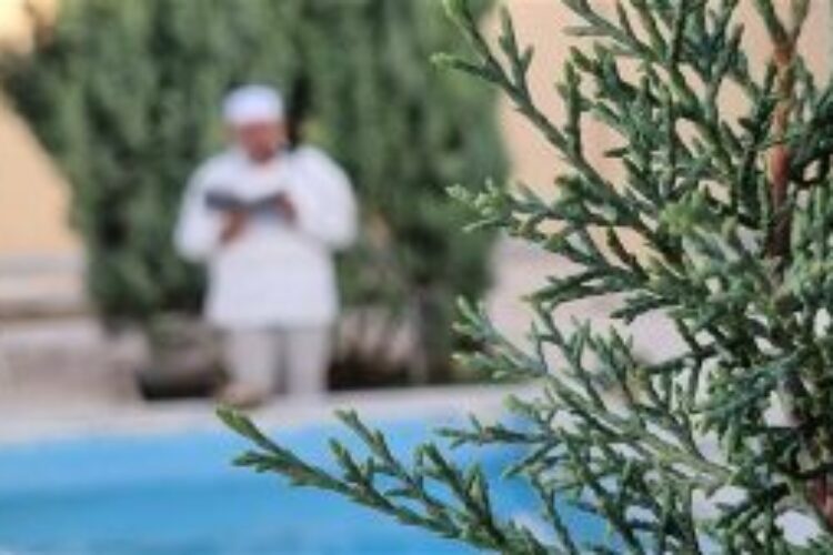 20240528_171233-300x169